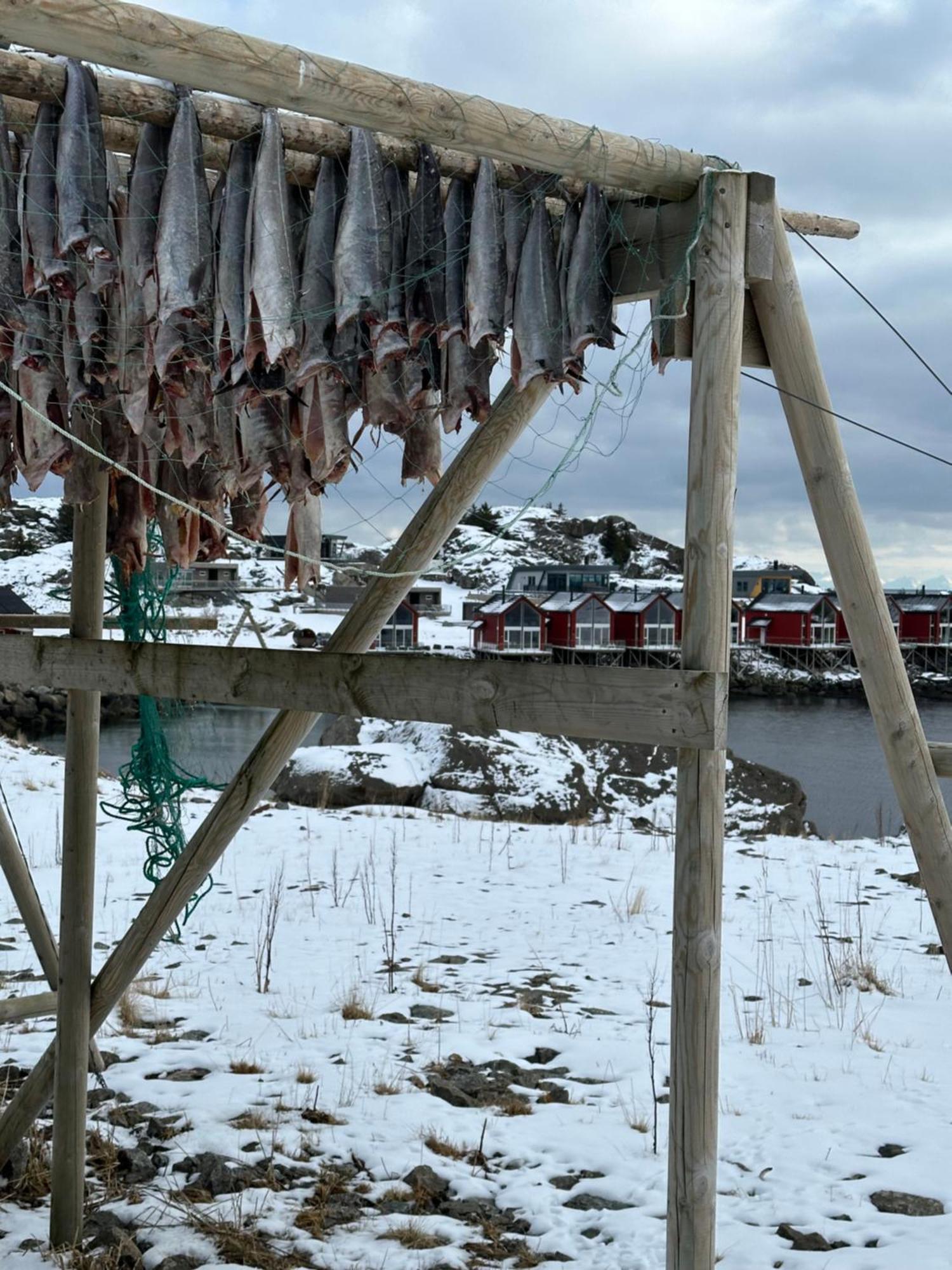 Superior Cabin Ballstad Lofoten Экстерьер фото